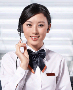 ��ϵ����